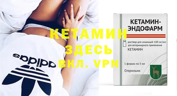 прущие грибы Абаза