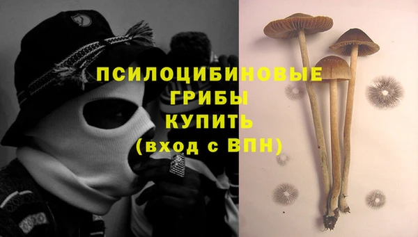 гидра Абинск