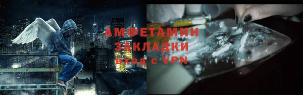 прущие грибы Абаза