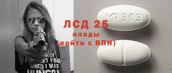 прущие грибы Абаза