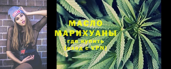 прущие грибы Абаза