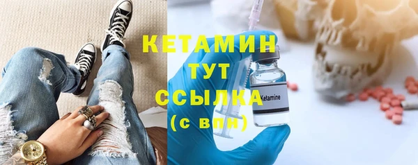 прущие грибы Абаза